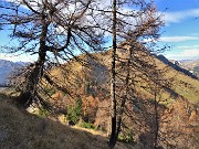 PIZZO BADILE (2044 m) ad anello colorato d’autunno da Piazzatorre-31ott22- FOTOGALLERY
